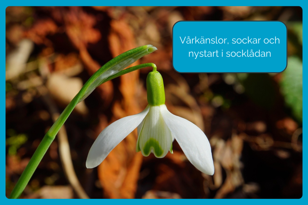 Vårkänslor, sockar och nystart i socklådan